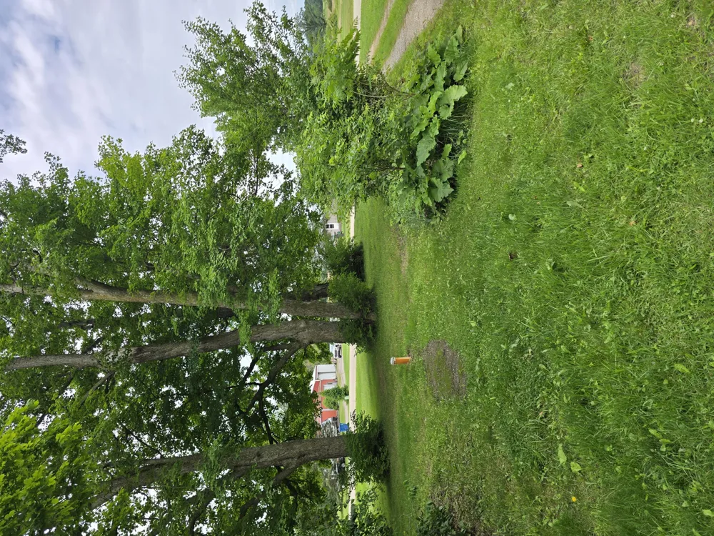 8733 S Cochran Avenue Charlotte City, MI 49076