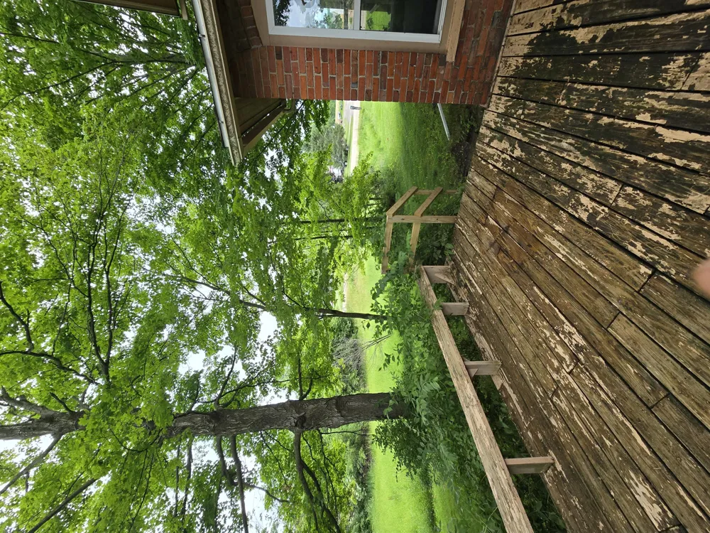 8733 S Cochran Avenue Charlotte City, MI 49076