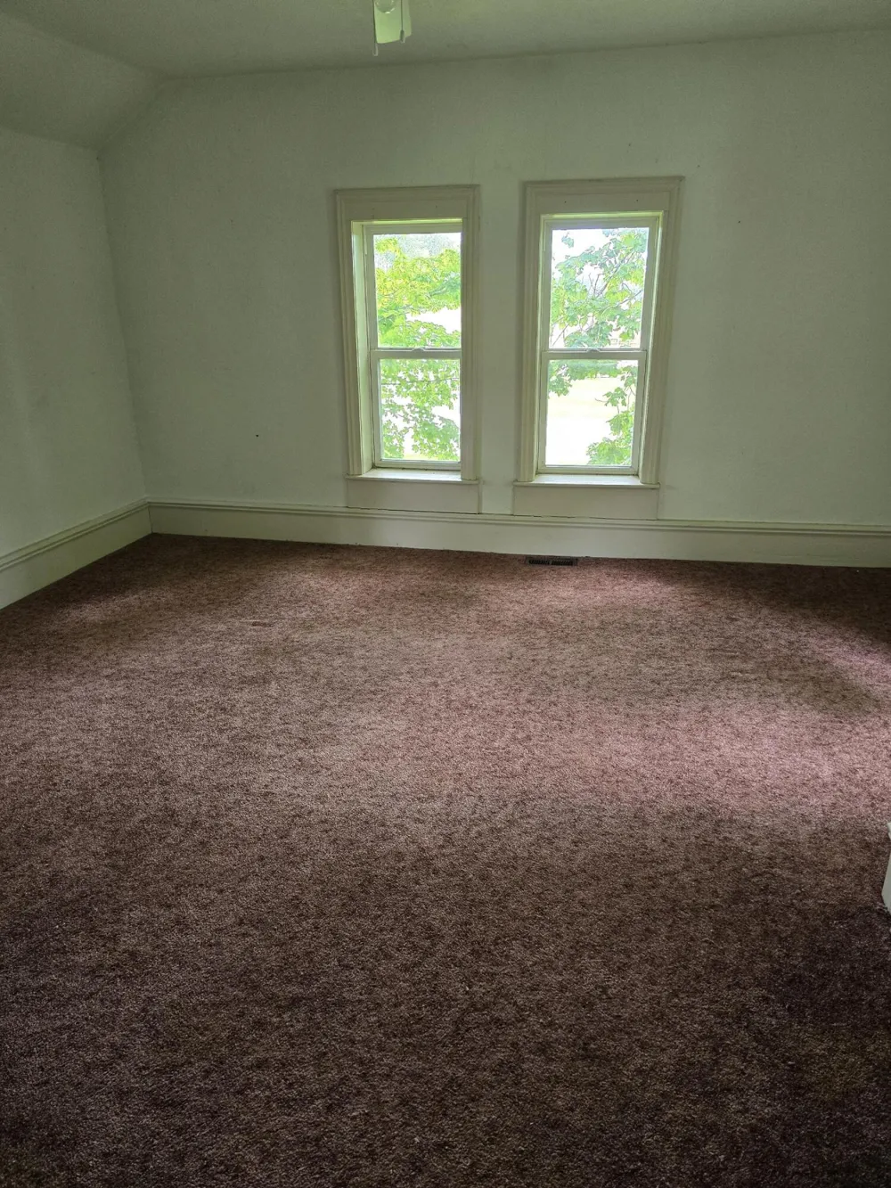 8733 S Cochran Avenue Charlotte City, MI 49076