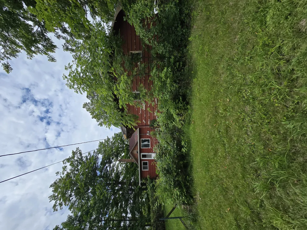 8733 S Cochran Avenue Charlotte City, MI 49076