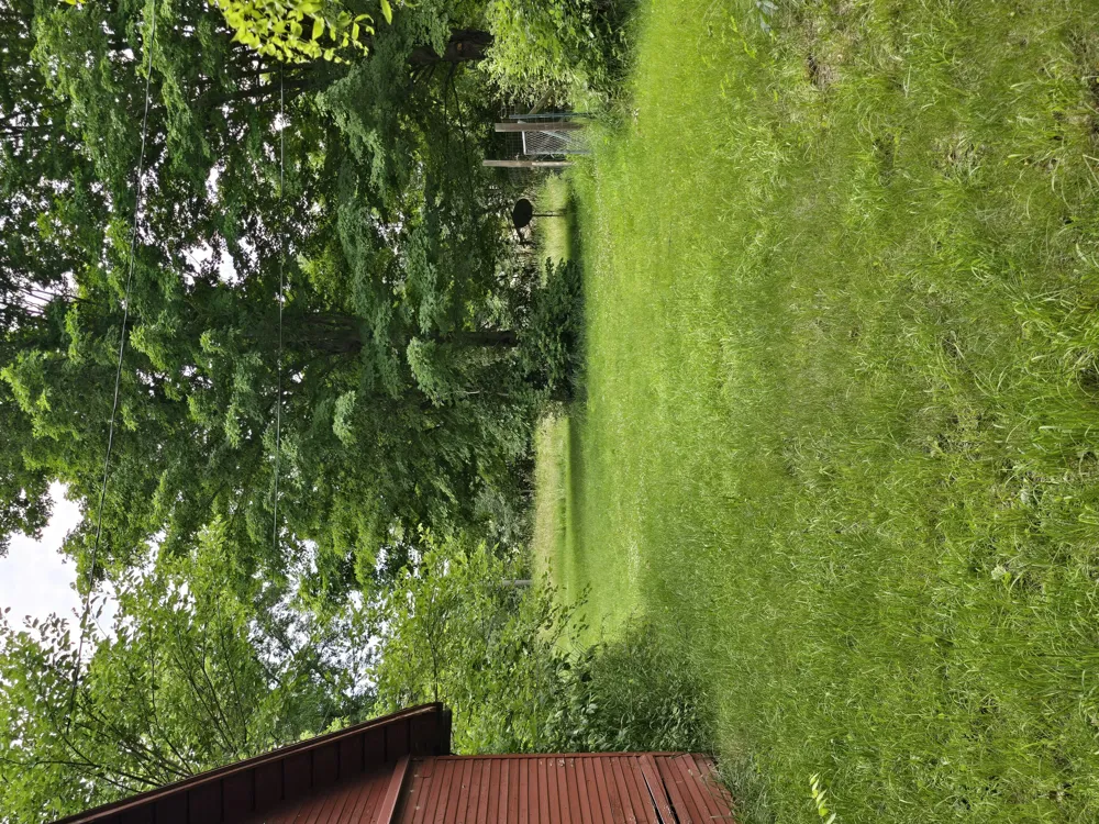 8733 S Cochran Avenue Charlotte City, MI 49076