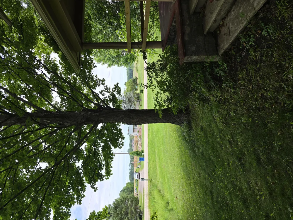 8733 S Cochran Avenue Charlotte City, MI 49076