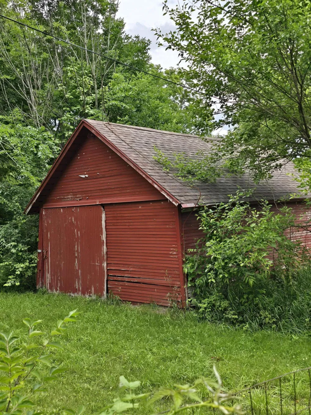 8733 S Cochran Avenue Charlotte City, MI 49076