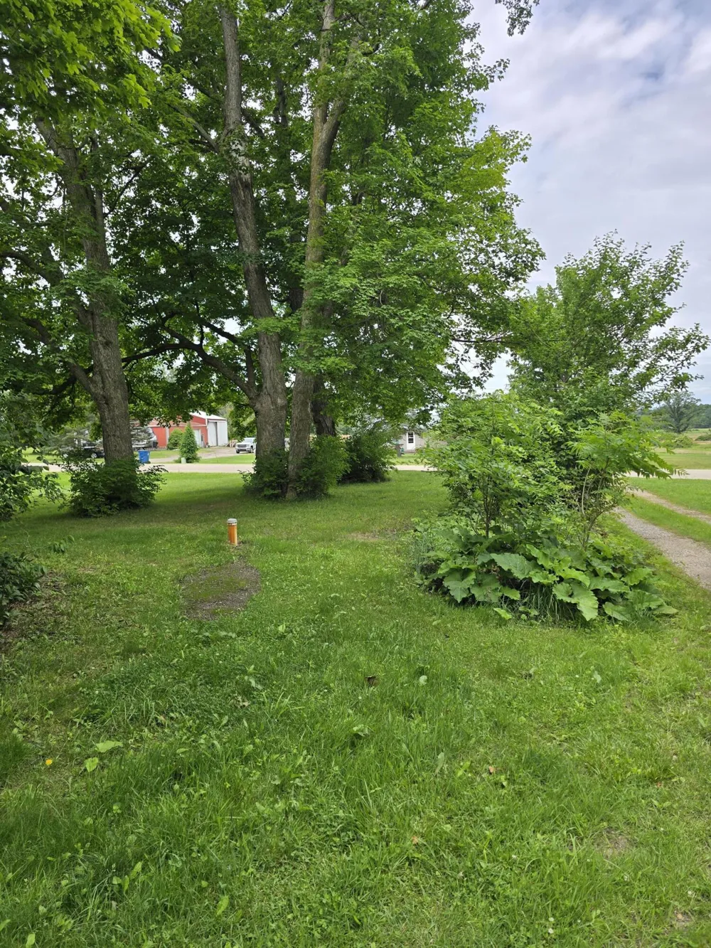 8733 S Cochran Avenue Charlotte City, MI 49076