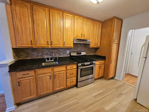 151-05 Cross Island Parkway #3E