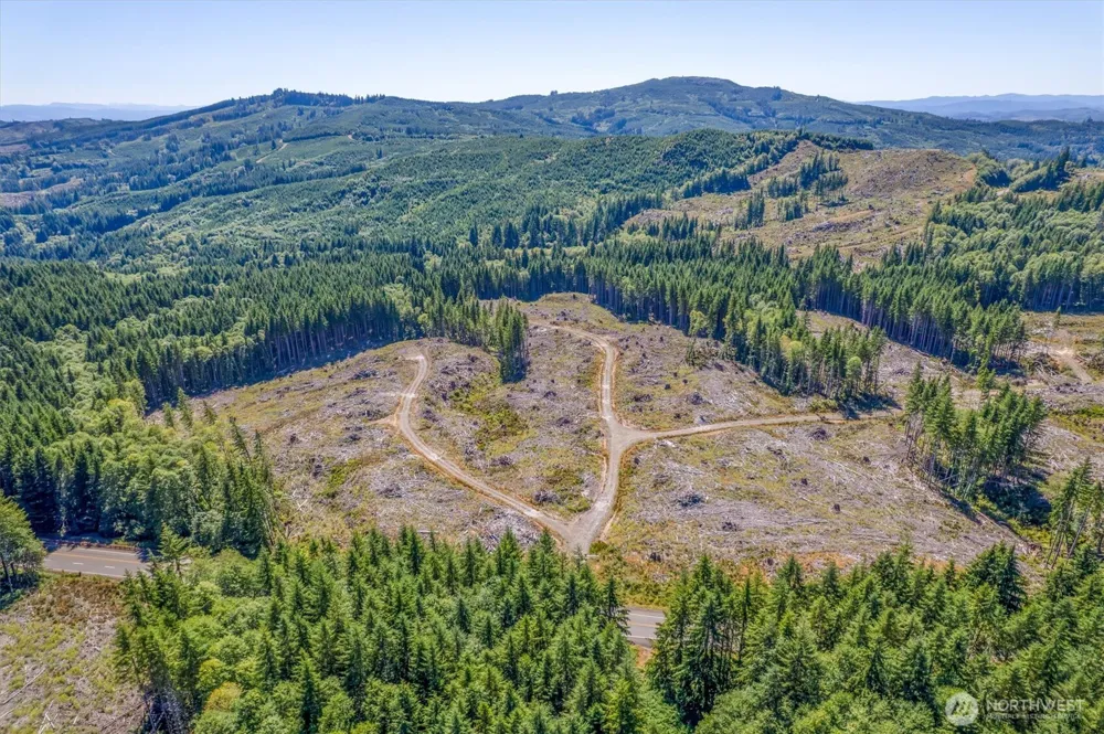 0 Ocean Beach Highway Skamokawa, WA 98647