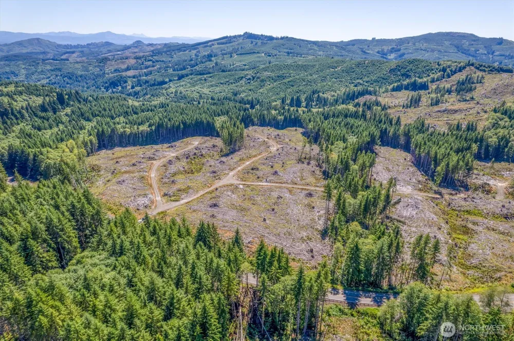 0 Ocean Beach Highway Skamokawa, WA 98647