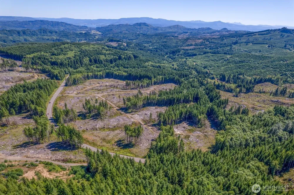 0 Ocean Beach Highway Skamokawa, WA 98647