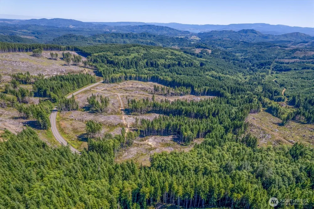 0 Ocean Beach Highway Skamokawa, WA 98647
