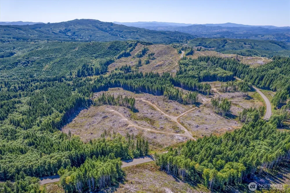 0 Ocean Beach Highway Skamokawa, WA 98647