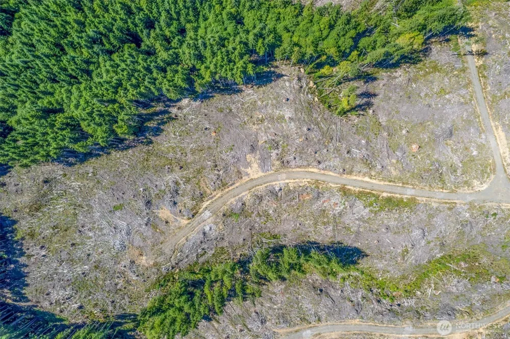 0 Ocean Beach Highway Skamokawa, WA 98647