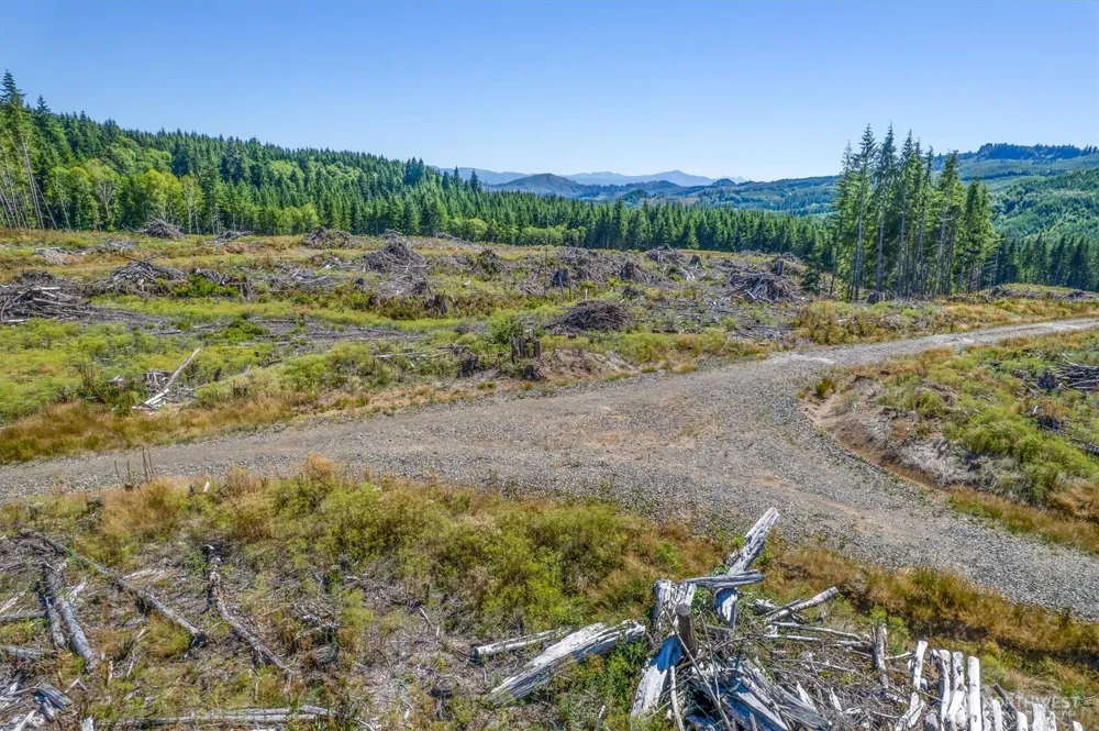 0 Ocean Beach Highway Skamokawa, WA 98647