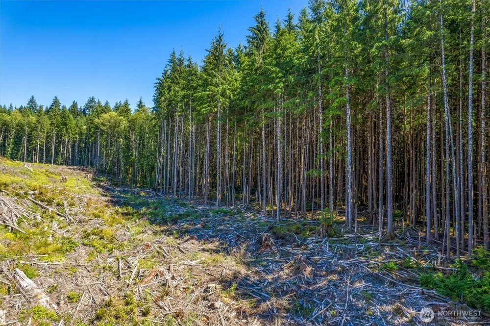 0 Ocean Beach Highway Skamokawa, WA 98647