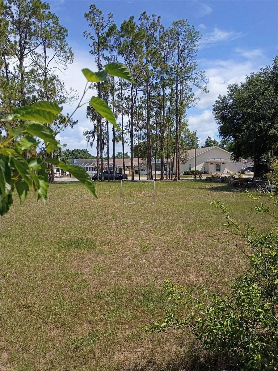 5142 LA PLATA DRIVE New Port Richey, FL 34655