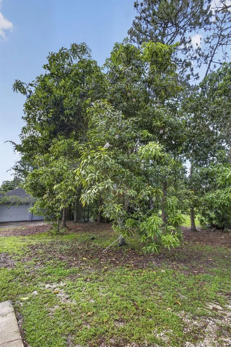 16571 78th Road Loxahatchee, FL 33470