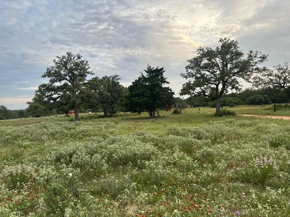 1118 Woodland Trail Rockdale, TX 77836