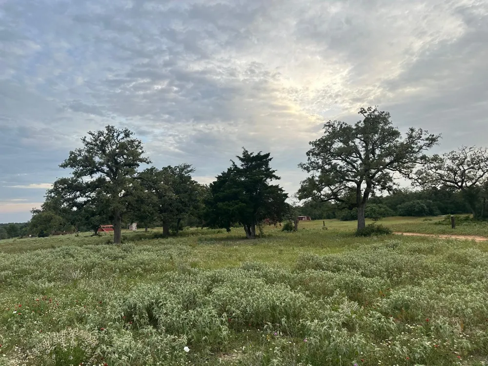 1118 Woodland Trail Rockdale, TX 77836