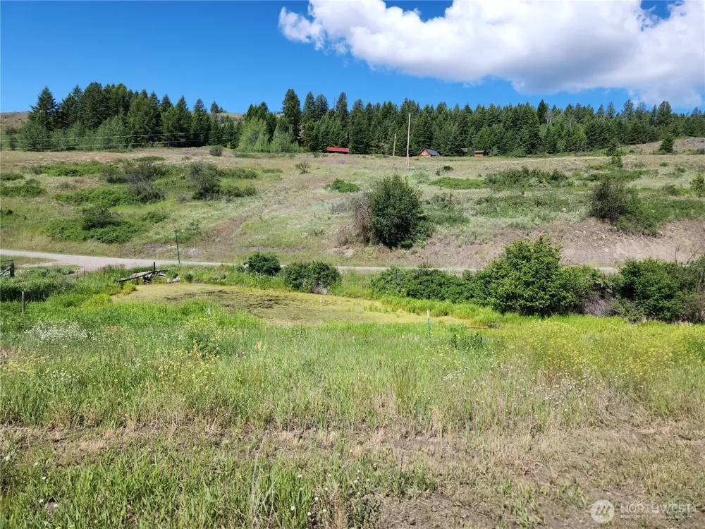 3 Garden Lane Curlew, WA 99118