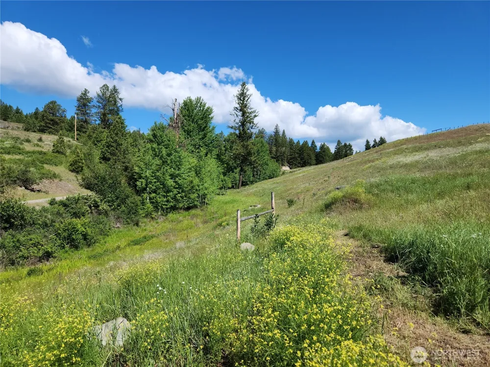 3 Garden Lane Curlew, WA 99118