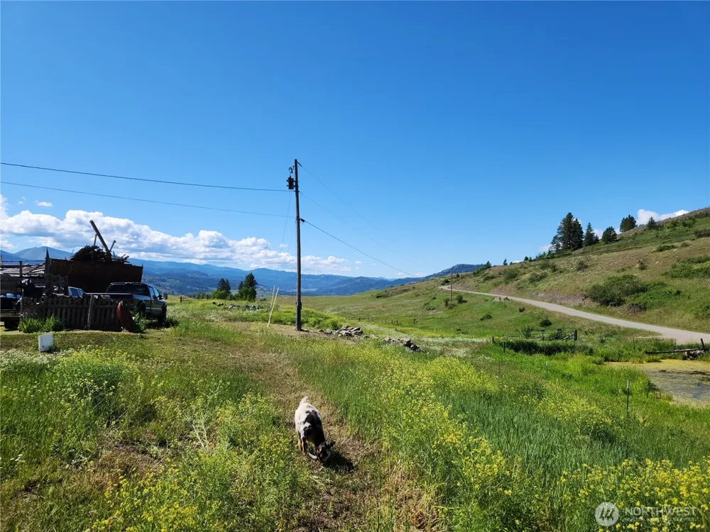 3 Garden Lane Curlew, WA 99118