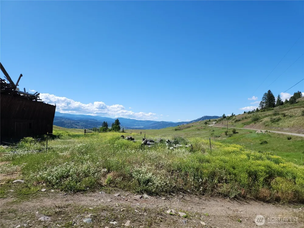 3 Garden Lane Curlew, WA 99118