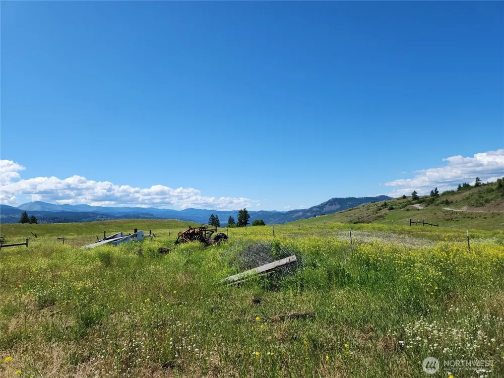 3 Garden Lane Curlew, WA 99118