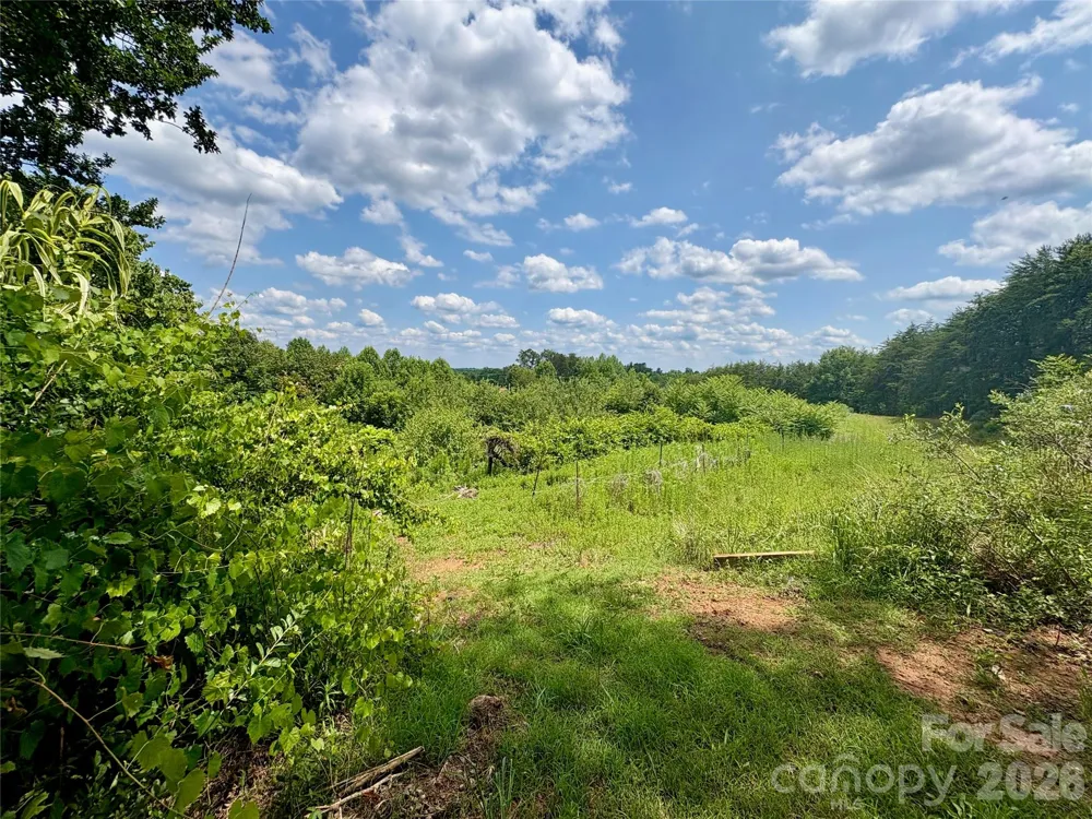 1812 Freemantown Road Lake Lure, NC 28746