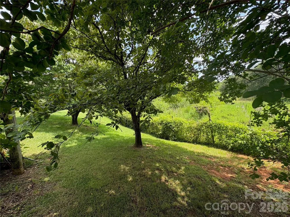 1812 Freemantown Road Lake Lure, NC 28746