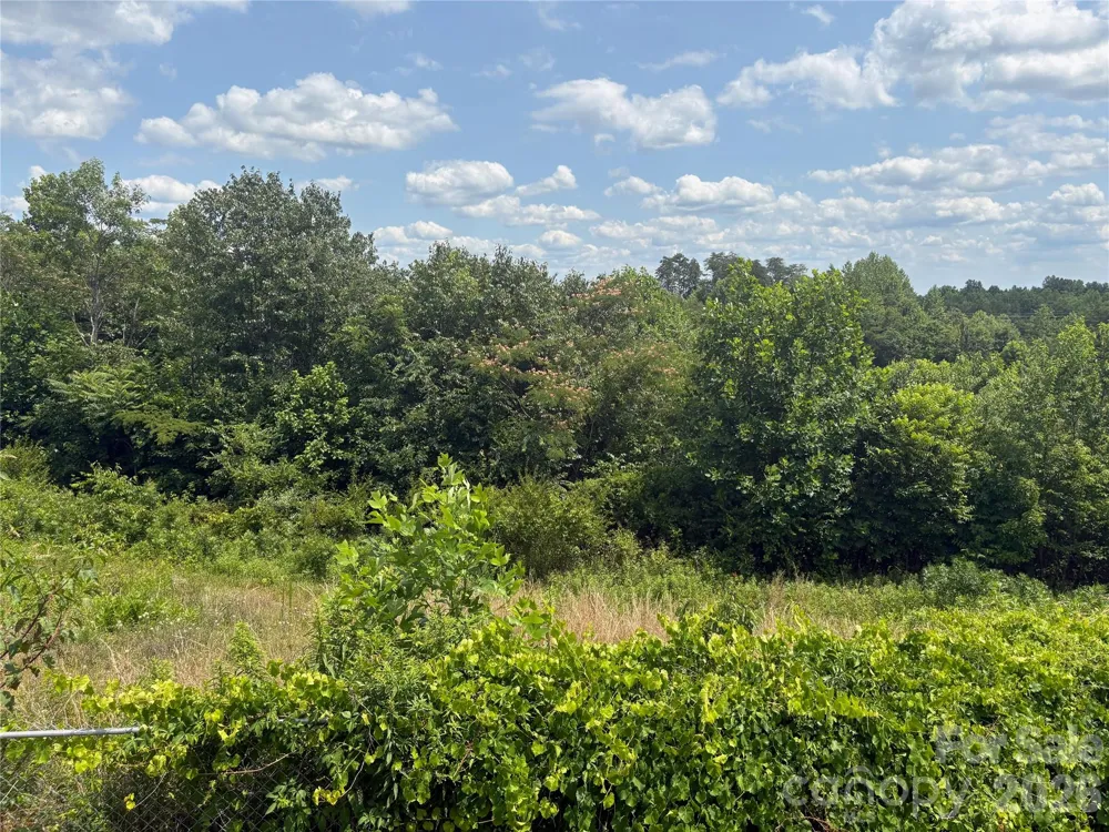 1812 Freemantown Road Lake Lure, NC 28746