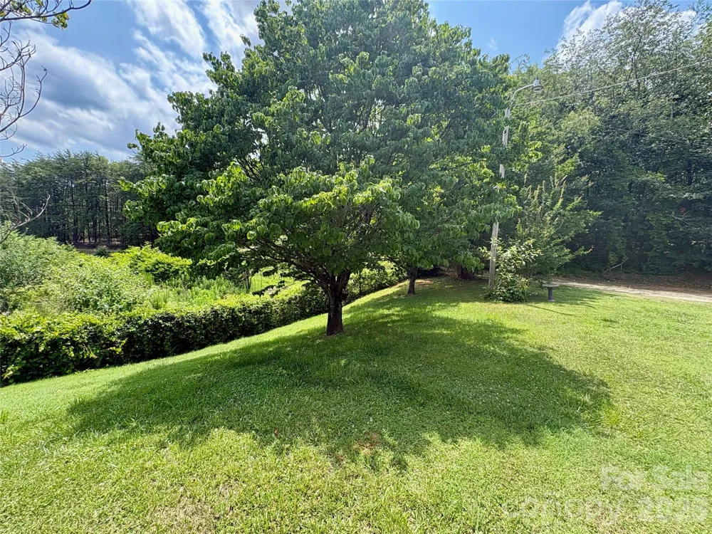 1812 Freemantown Road Lake Lure, NC 28746