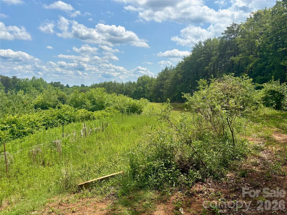 1812 Freemantown Road Lake Lure, NC 28746