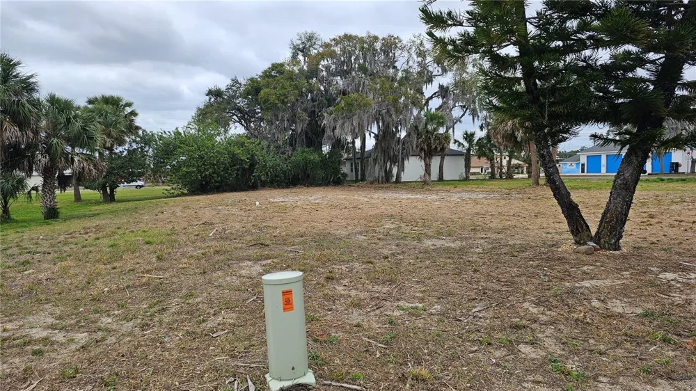 209 W BADGER AVENUE Eustis, FL 32726