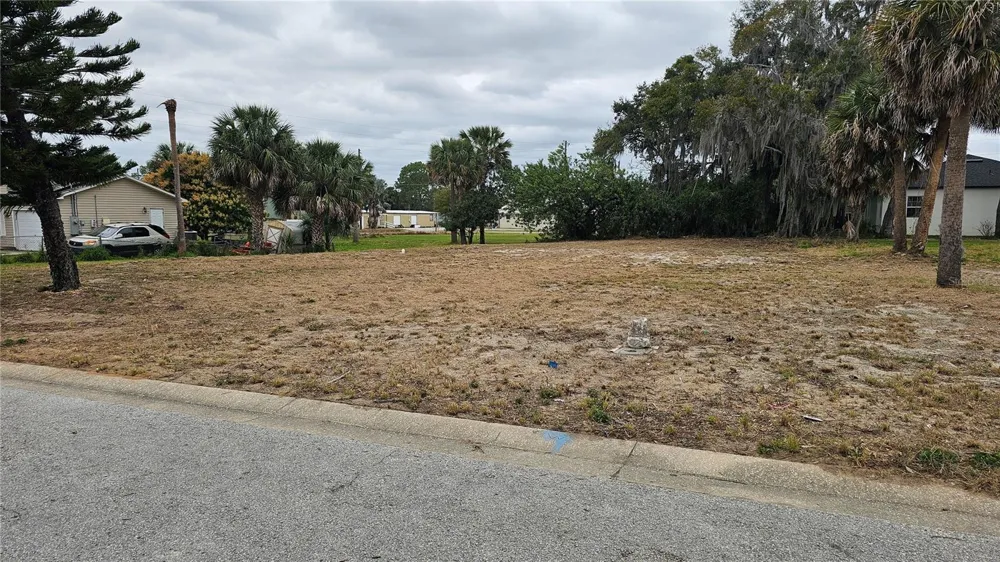 209 W BADGER AVENUE Eustis, FL 32726