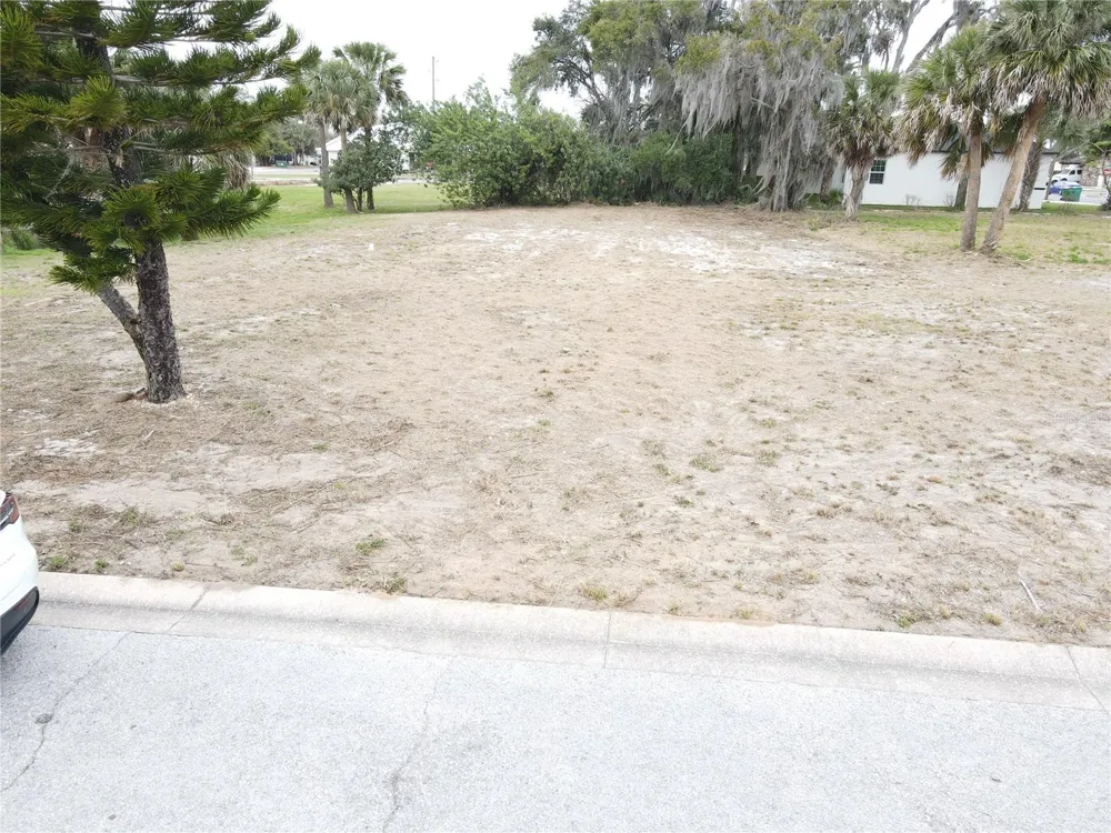 209 W BADGER AVENUE Eustis, FL 32726