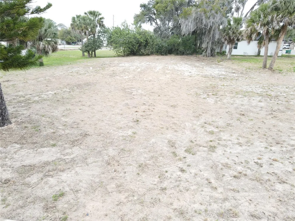 209 W BADGER AVENUE Eustis, FL 32726