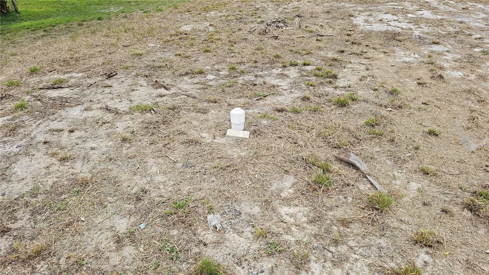 209 W BADGER AVENUE Eustis, FL 32726