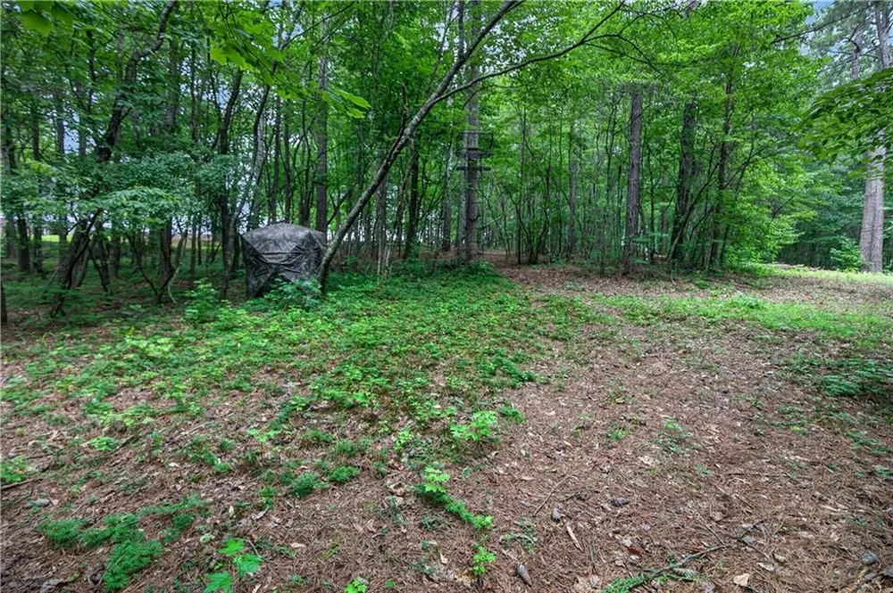 2404 Corinth Poseyville Road Bremen, GA 30110