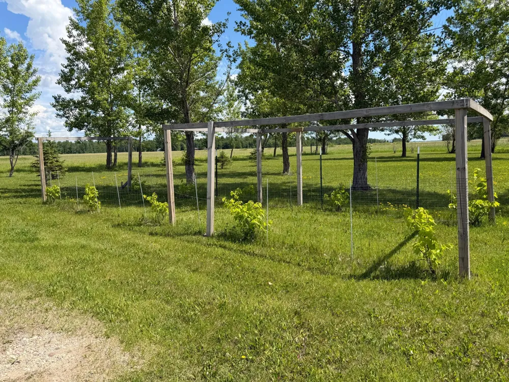 26790 County Road 15 Roseau, MN 56751