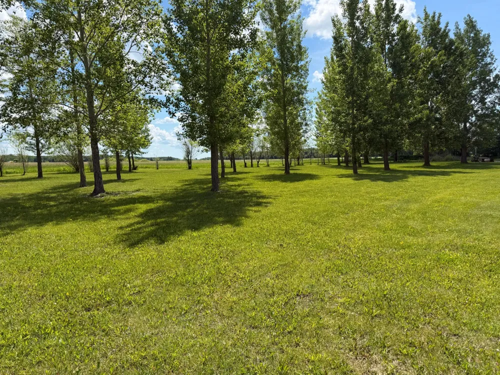 26790 County Road 15 Roseau, MN 56751