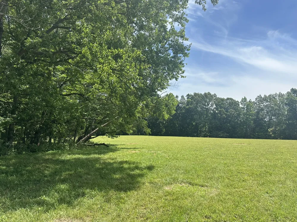 1 Somerville Rd Cross Plains, TN 37049