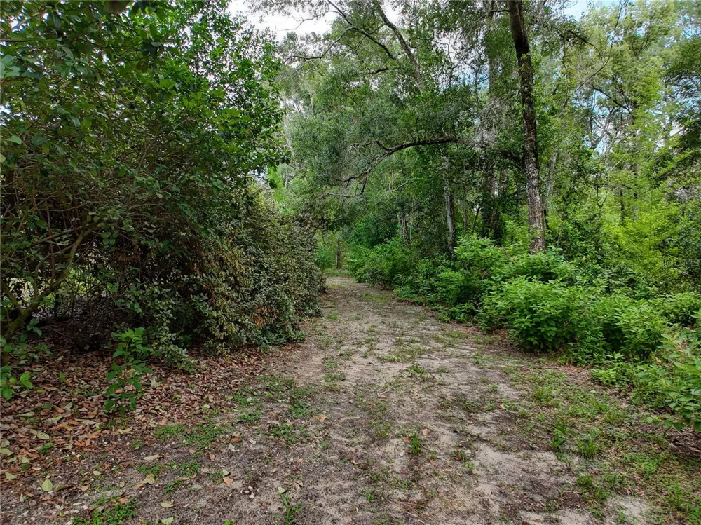 0 FORT DADE AVENUE Brooksville, FL 34601