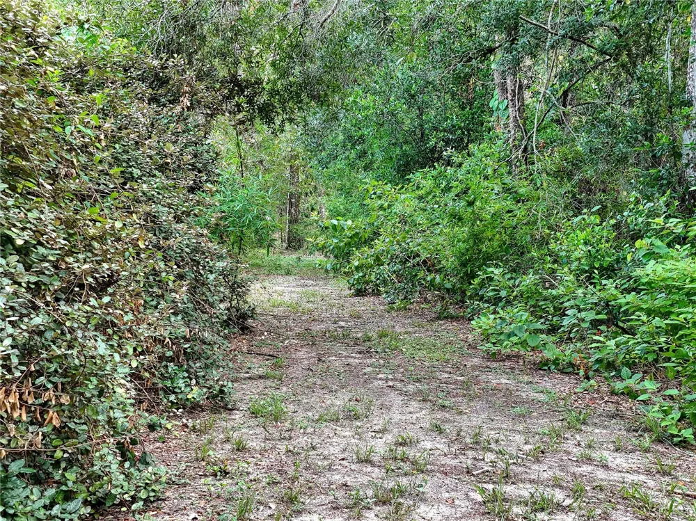 0 FORT DADE AVENUE Brooksville, FL 34601