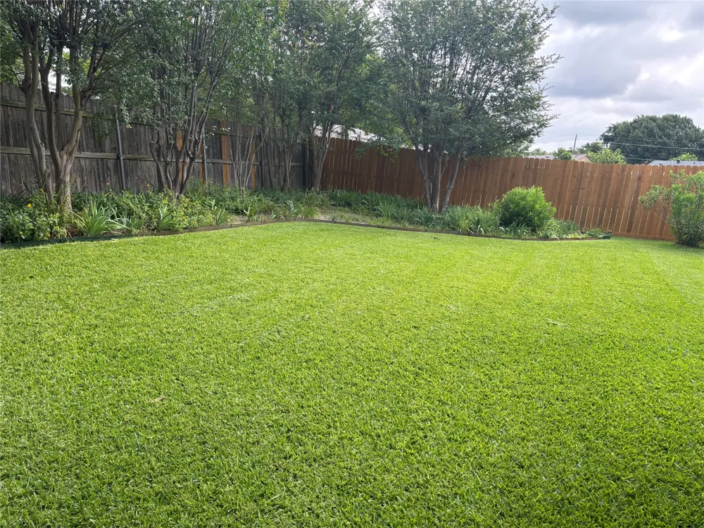 10207 Sweet Gum Street Dallas, TX 75249