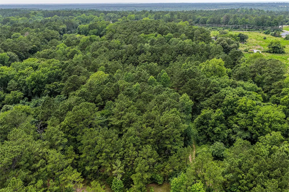 145 Tall Timbers Lane Huntsville, TX 77340