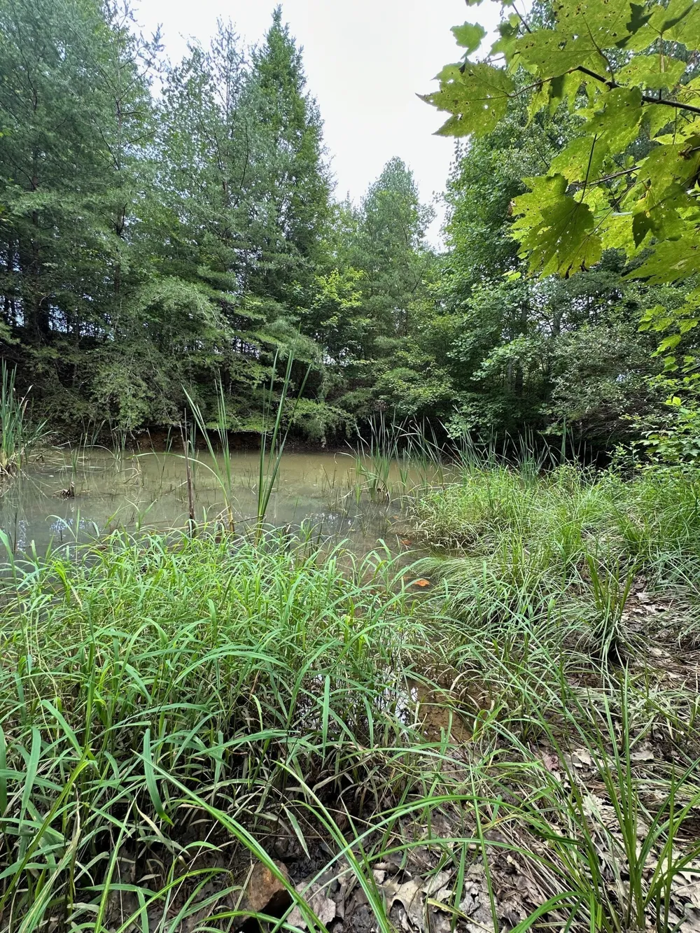 283 Markum Ln Spencer, TN 38585