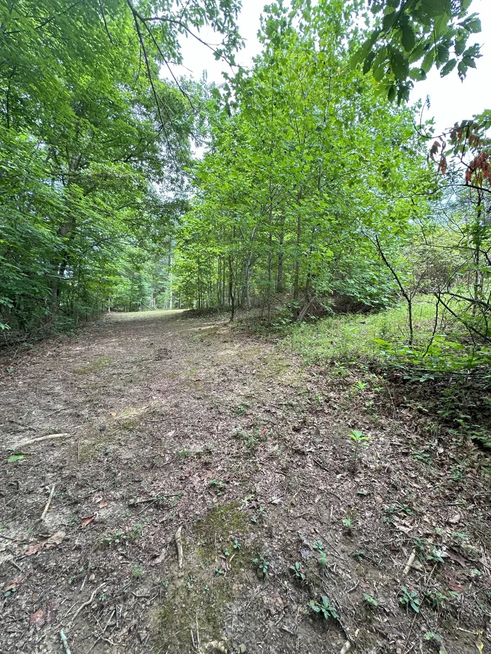 283 Markum Ln Spencer, TN 38585