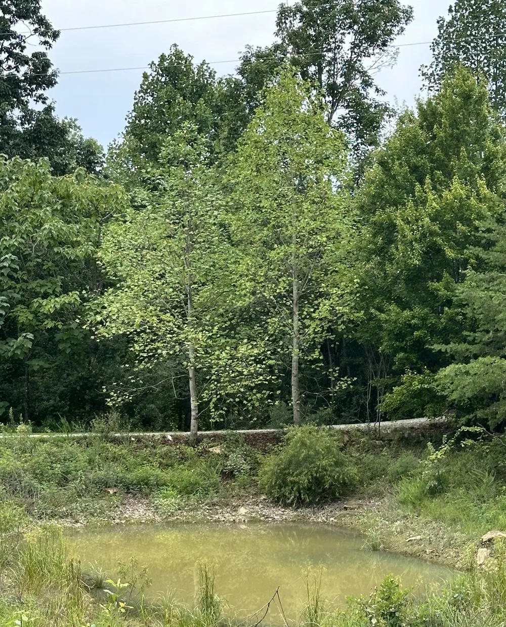 283 Markum Ln Spencer, TN 38585