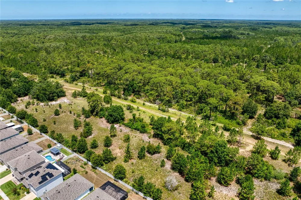3288 TUCSON WIND PLACE Odessa, FL 33556