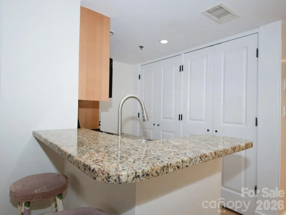 37 Hiawassee Street #W103 Asheville, NC 28801
