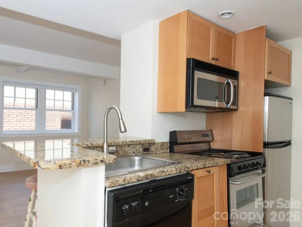37 Hiawassee Street #W103 Asheville, NC 28801